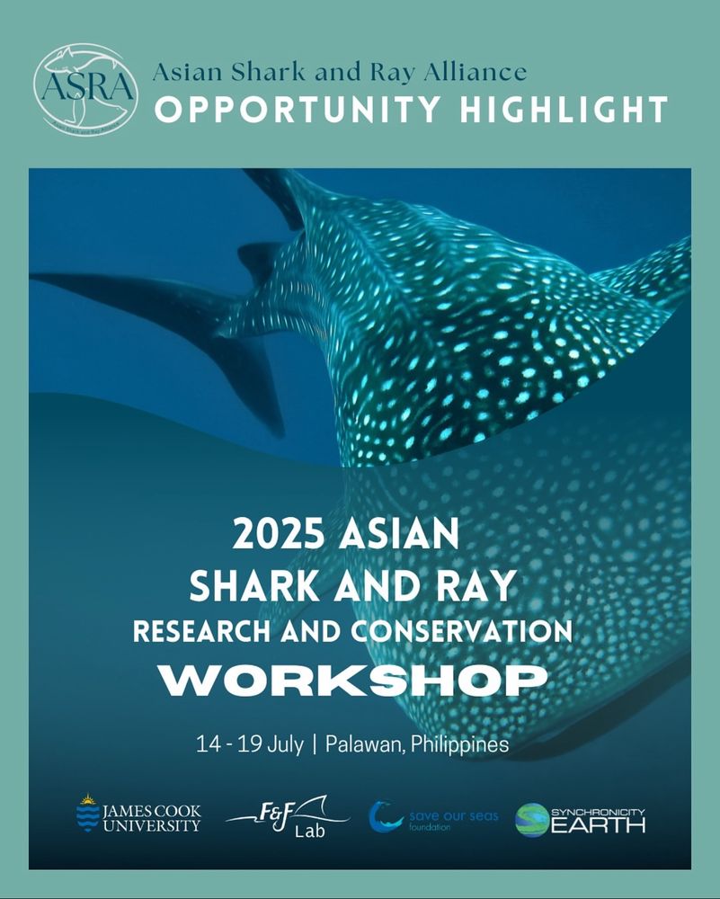 Details of workshop