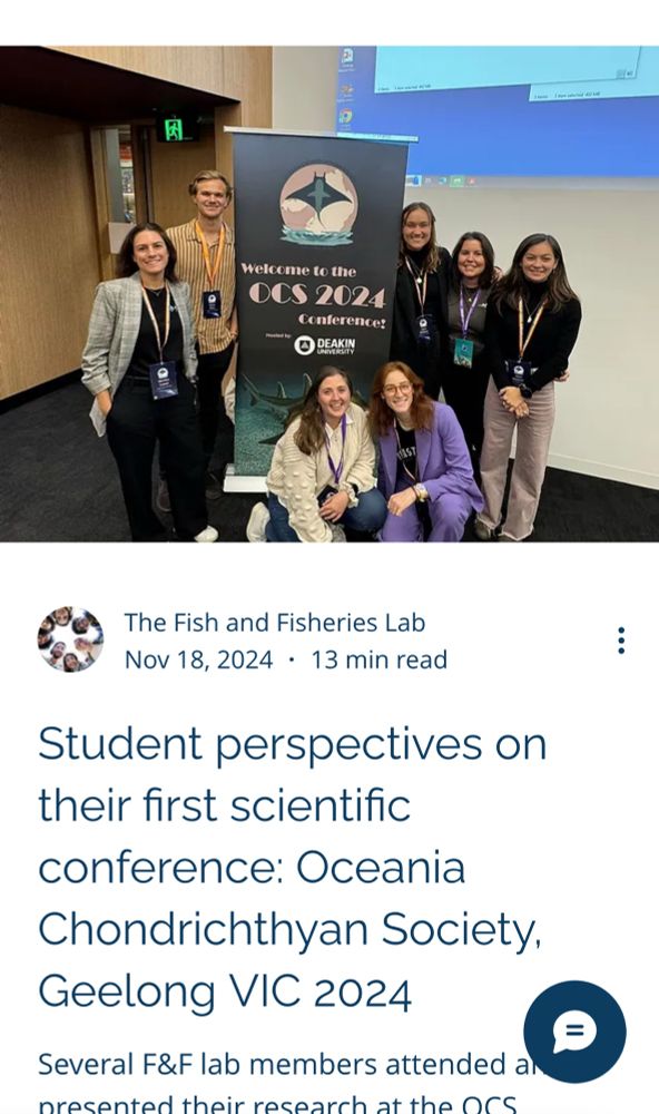 Screenshot of the blog about conference experiences 