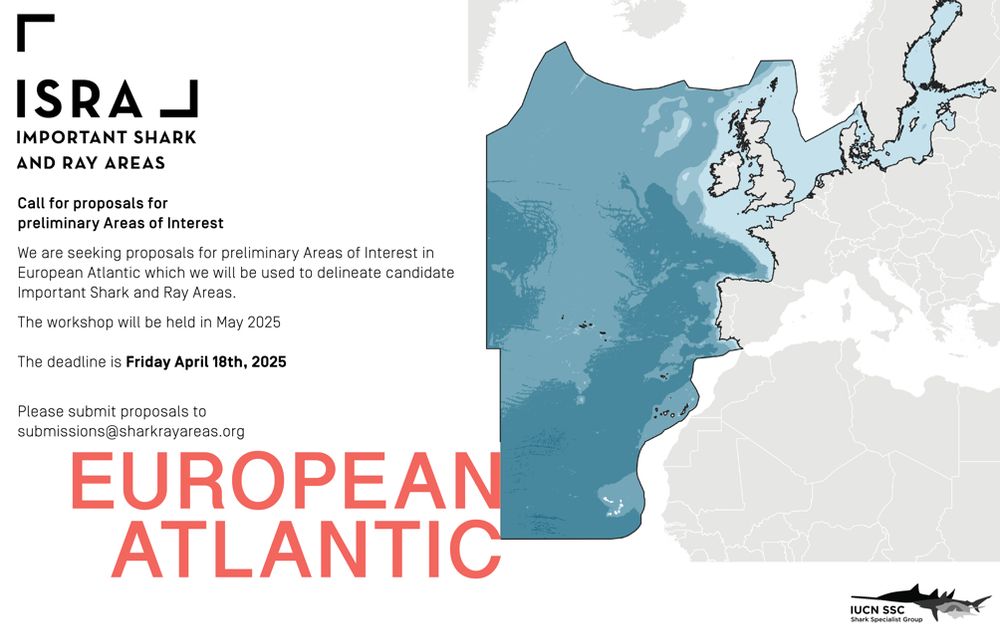 Flyer showing the information and links for submitting proposals to the Important Shark and Ray Areas process