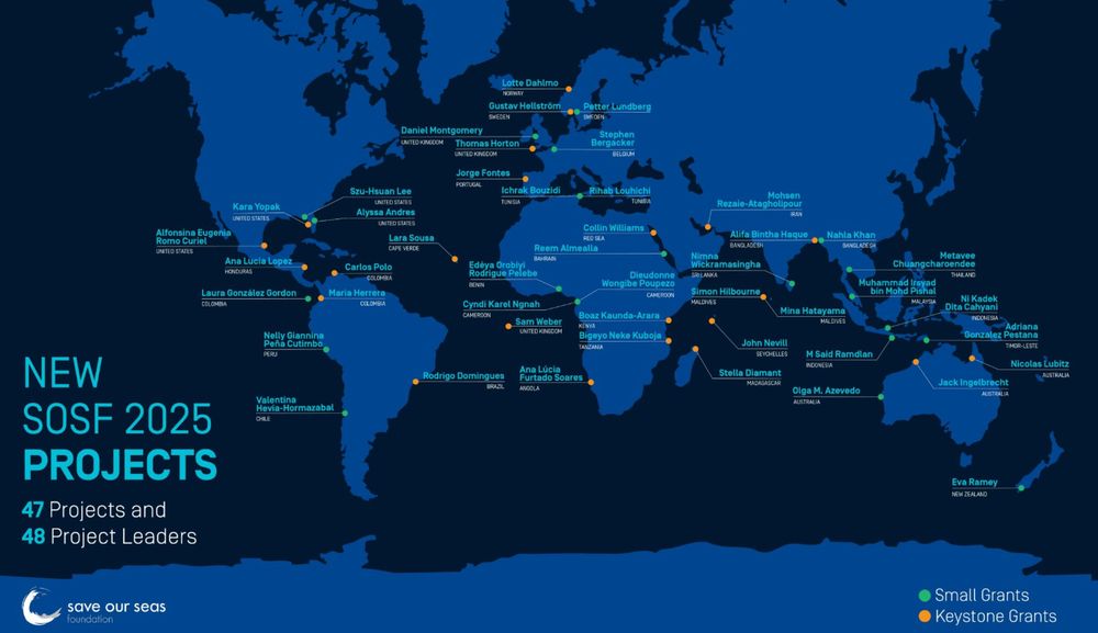 Map of the 2025 shark research and conservation project locations