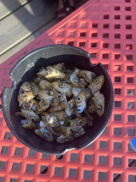 An ashtray filled with tiny fried fish heads