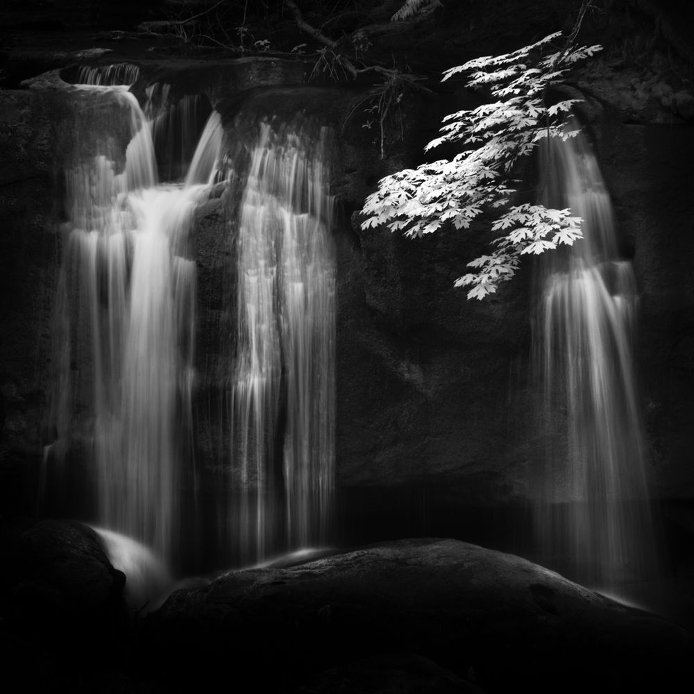 Water falling at Whatcom Park in Bellingham, Washington. A long exposure taken with a camera converted to read infrared. 