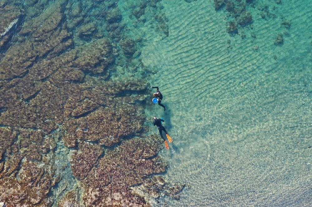 Two people snorkeling