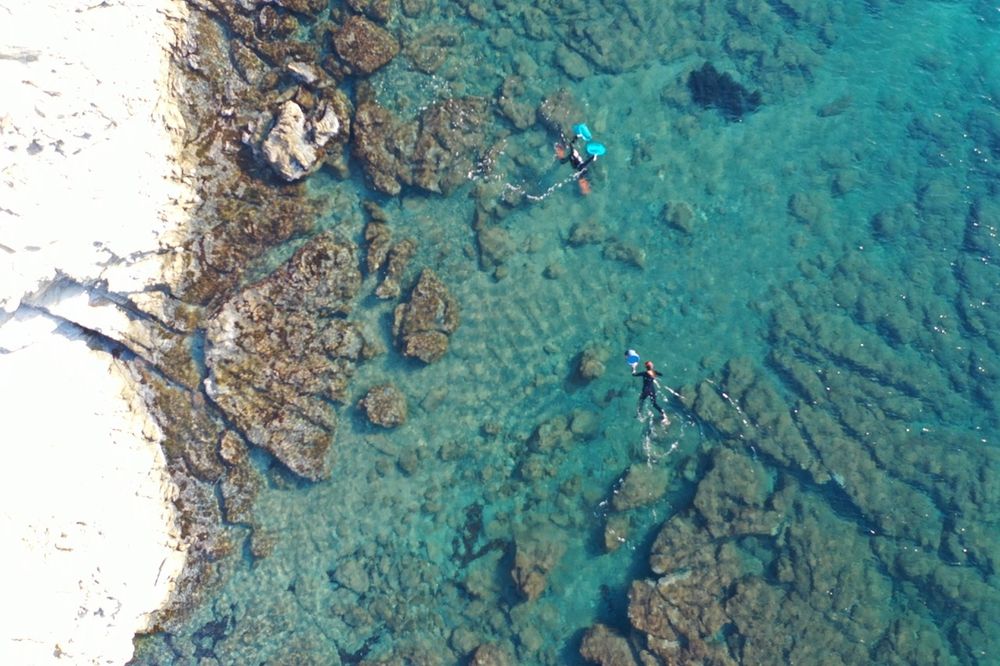 Two people snorkeling