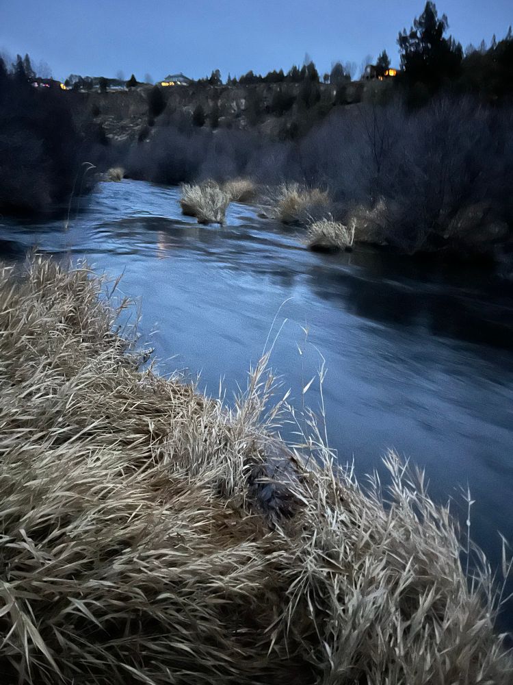 Nighttime on the bank of the rural Deschutes River in Oregon.