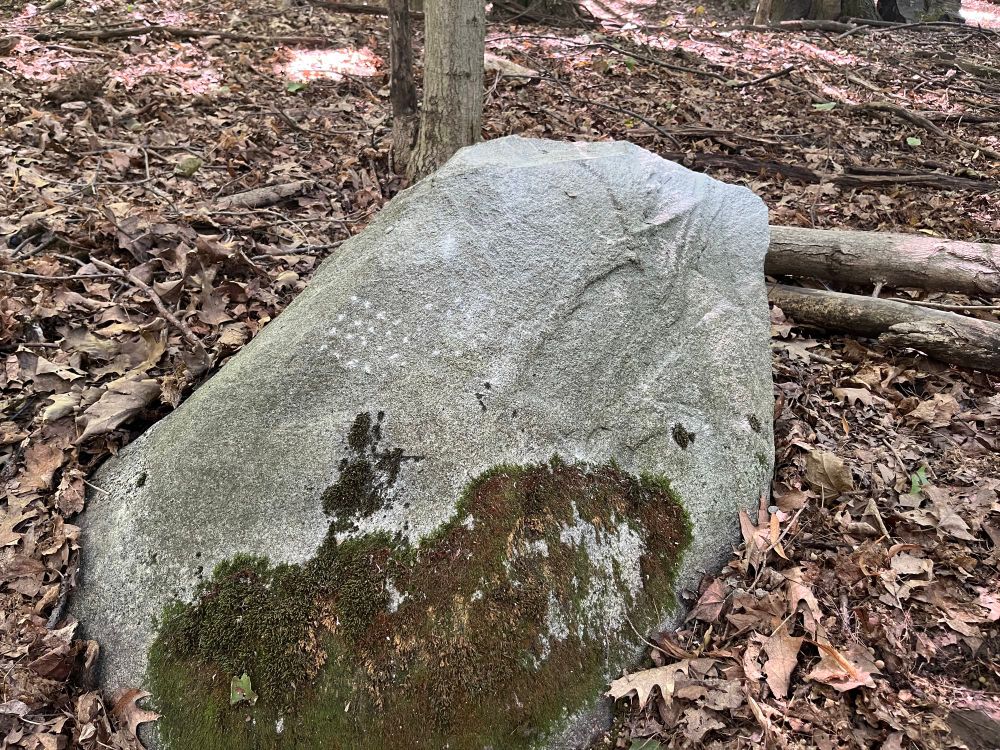 Large granite boulder positioned on a leafy forest floor. Moss is growing on one side and there is a series of small dots/markings on the boulder surface in a grid pattern
