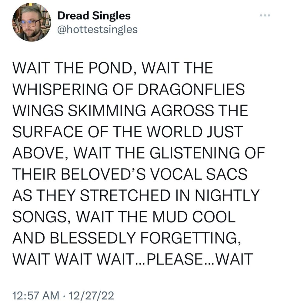 WAIT THE POND, WAIT THE WHISPERING OF DRAGONFLIES WINGS SKIMMING AGROSS THE SURFACE OF THE WORLD JUST ABOVE, WAIT THE GLISTENING OF THEIR BELOVED'S VOCAL SACS AS THEY STRETCHED IN NIGHTLY SONGS, WAIT THE MUD COOL AND BLESSEDLY FORGETTING, WAIT WAIT WAIT... PLEASE... WAIT