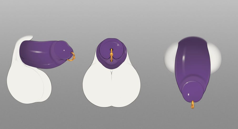 A very very NSFW diagram of Coach bear's dick and balls. C: