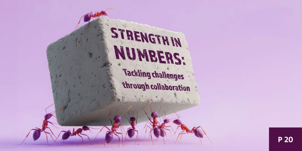 Strength in numbers: Tackling challenges through collaboration