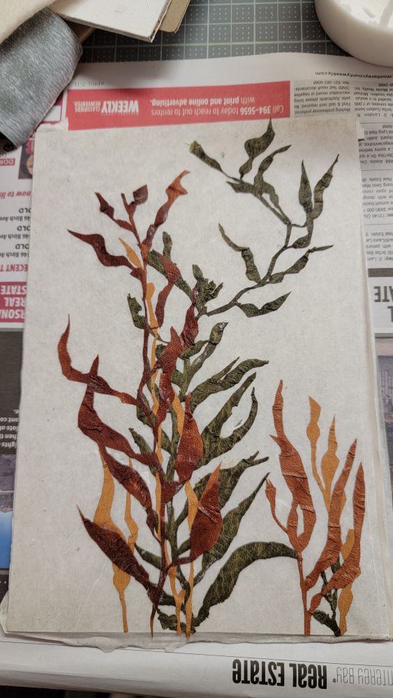 Different colors of leather cut out in the shapes of bull kelp pasted to a paper covered board. Longest layer is in the background in green leather. Mid-layer is a yellow-tan leather. Foreground is a medium brown leather. 