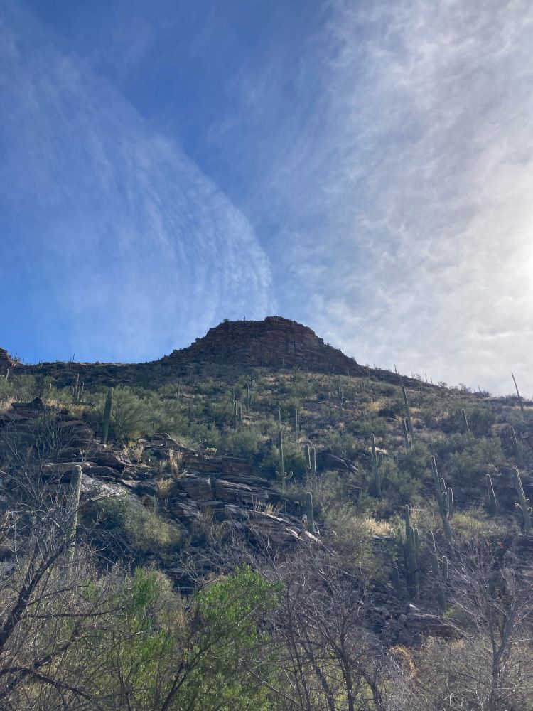 A typical Arizona ‘wilderness’ shot looking up at an incline: a hillside of dry shrubs and Saguaro cactus, with a rock-based peak in the background and a baby blue sky with cirrus clouds throughout.