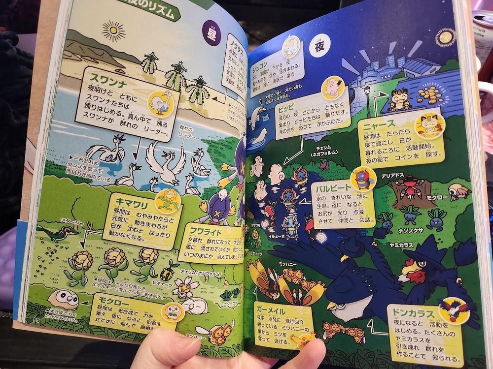 A page from Pokécology showing an area divided by day and nighttime and showing the kinds of Pokémon that are out and about at each time. Of import is the Cherrim that is in sunny form and dancing on the daytime page and in overcast form and hiding off by the trees at nighttime. There are other Pokémon too and many of them have little blurbs showing the Pokémon name and a little description of the actions as depicted on the page.