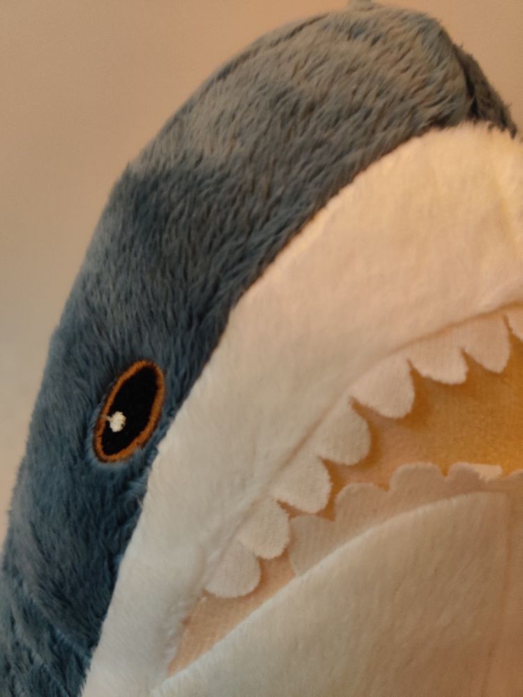 gros plan de la gueule d'une peluche requin IKEA