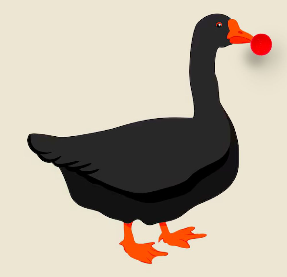 Black goose with a clown nose, makes no sense, I agree