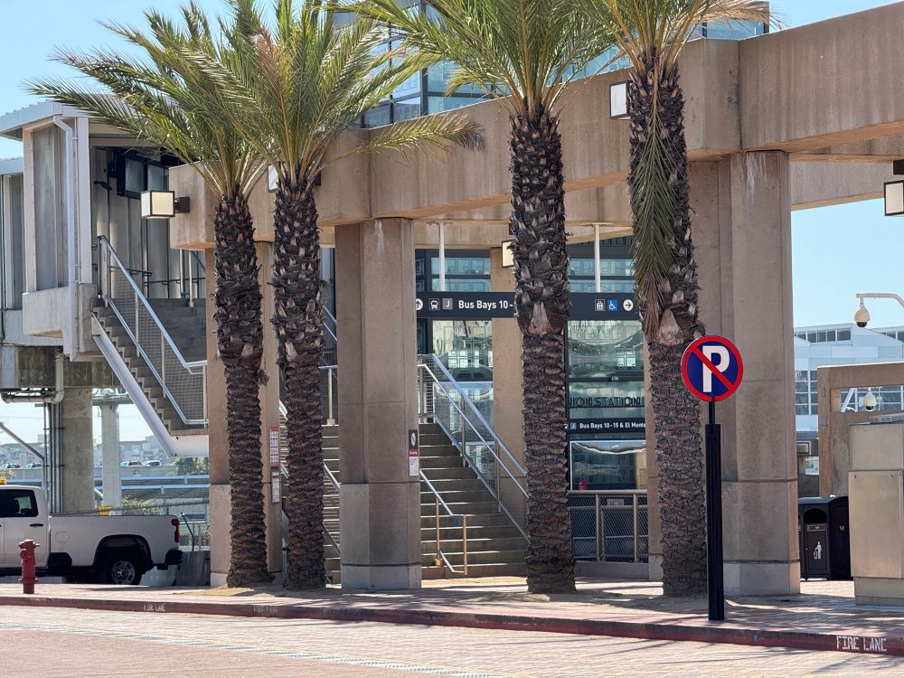 BRT (line J) entrance with microscopic sign hidden among trees