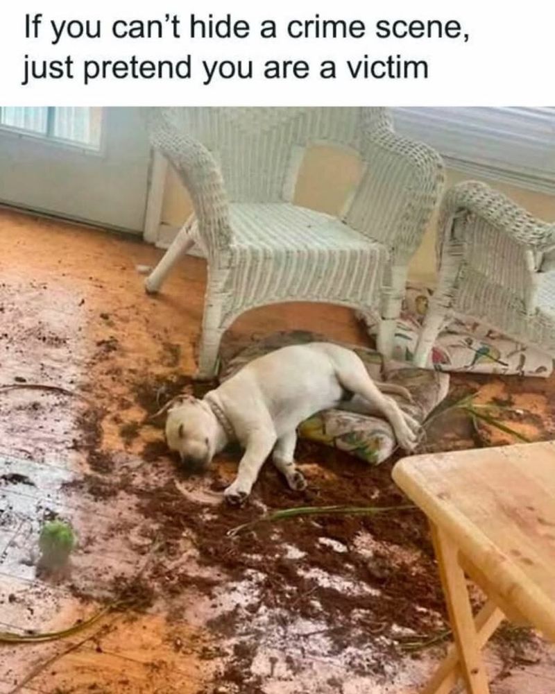 Comment image