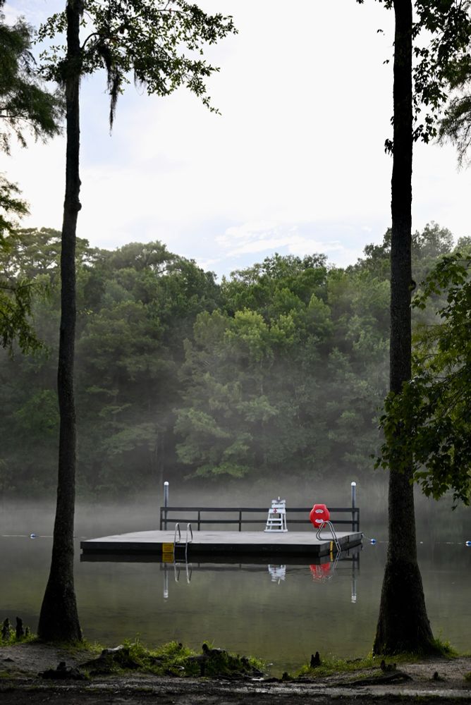 A dock on misty water between two tall palm trees. 