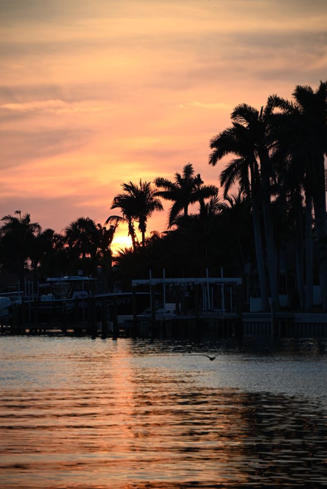 A photo of a colorful sunset over water with silhouettes of palm trees.