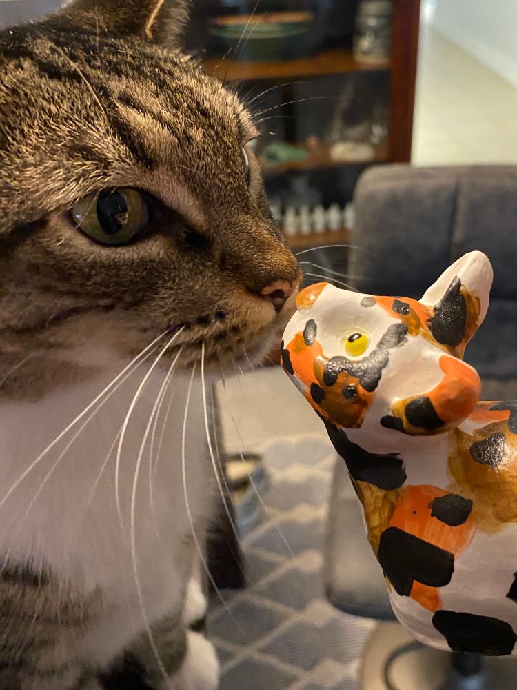 A real cat sniffs a ceramic cat figurine.