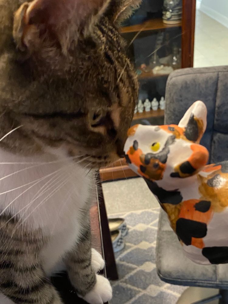 A real cat boops noses with a ceramic cat figurine.