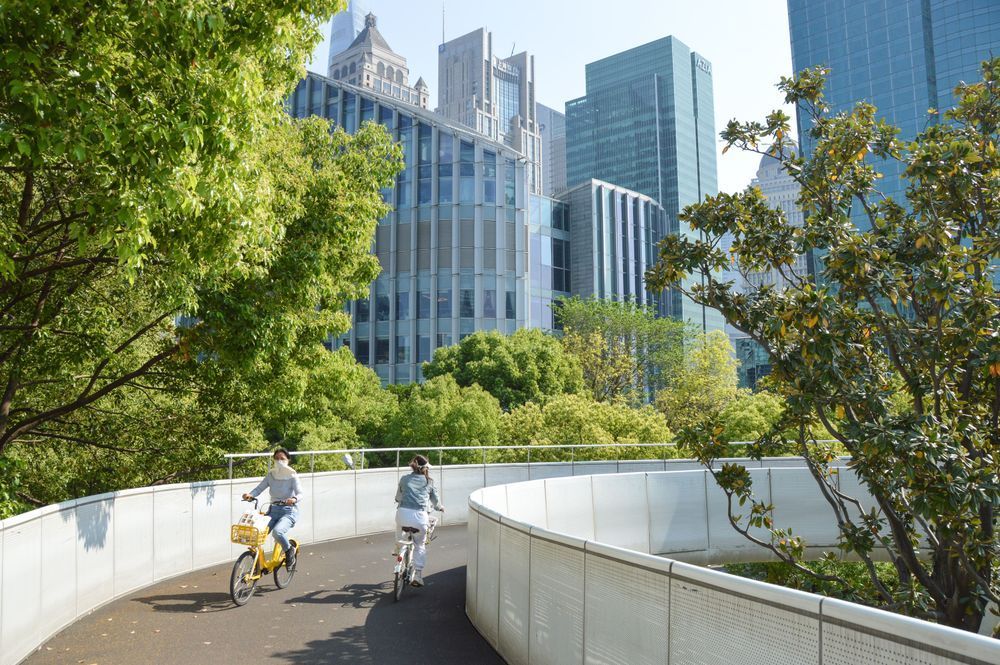 people cycling on cycle bridge