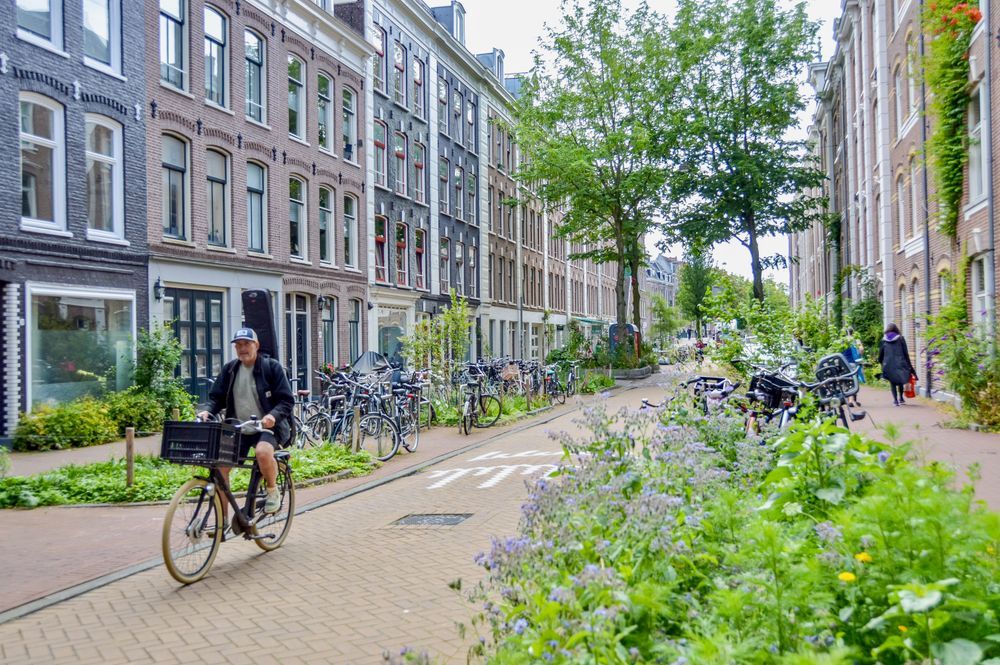 Cyclist in green Amsterdam street