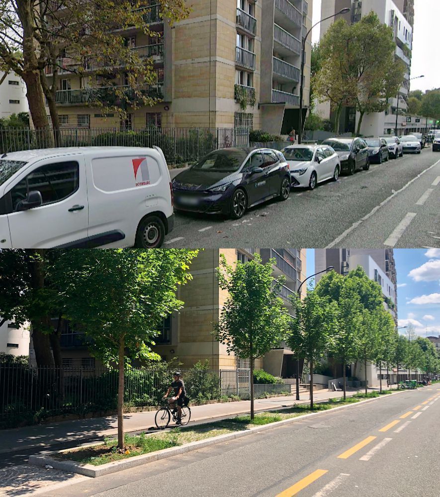 above cars parked on a street, below, trees and a bike lane