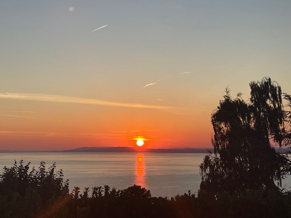 Sunrise over a lake with trees and greenery in silhouette in the foreground. 