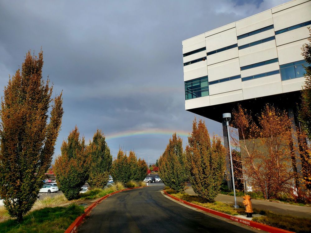 View of a road on campus lined by trees and a white building. At the end of the road is a bright rainbow peeking through the grey and cloudy sky. 
