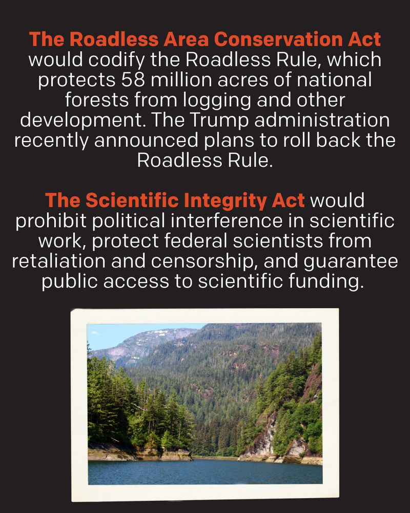 The Roadless Area Conservation Act would codify the Roadless Rule, which protects 58 million acres of national forests from logging and other development. The Trump administration recently announced plans to roll back the Roadless Rule.

The Scientific Integrity Act would prohibit political interference in scientific work, protect federal scientists from retaliation and censorship, and guarantee public access to scientific funding.