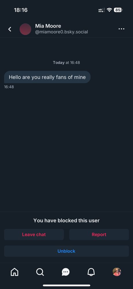 Screenshot of dm with account impersonating Mia