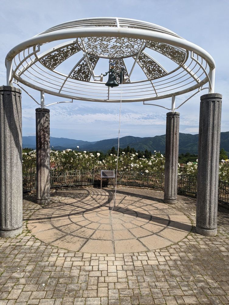 一緒に鐘鳴らしたい