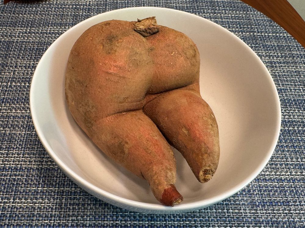 A sweet potato in a bowl that looks like a very round butt. 