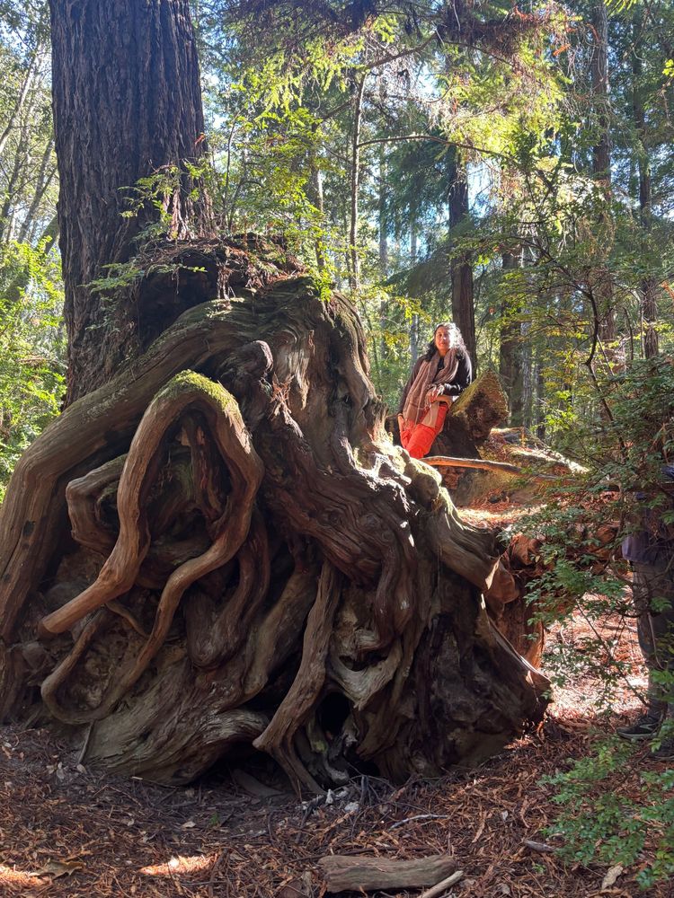 girl standing behind tree roots
