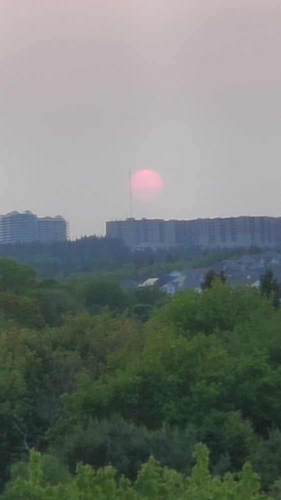 The sun, soon about to set, is a fading, barely visible red colour, it's lower half fading into nithing. It looks like an alien moon seen from and alien planet. It sits in the sky just above some large apartment buildings, with vibrant green tree canopy in the foreground.