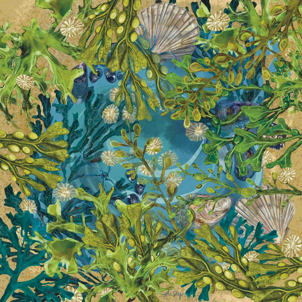 Looking down into a rock pool surrounded by sand. Seaweeds and shells entwined making beach theme patterns. 