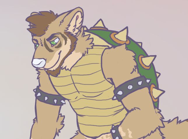 Old version of DS wearing a Bowser shell.