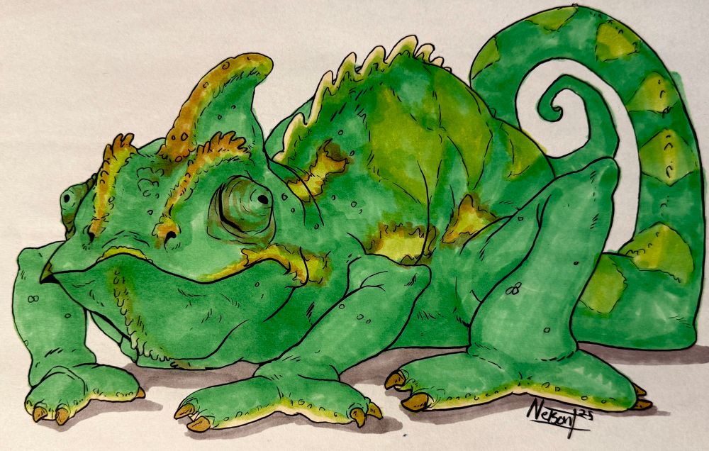 A caricature drawing of a chameleon looking a little derpy and squishy.