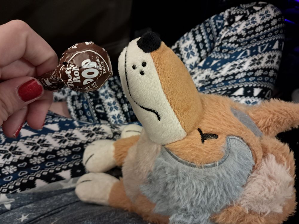 A weighted wildlife coyote plush in my lap being offered a tootsie roll pop