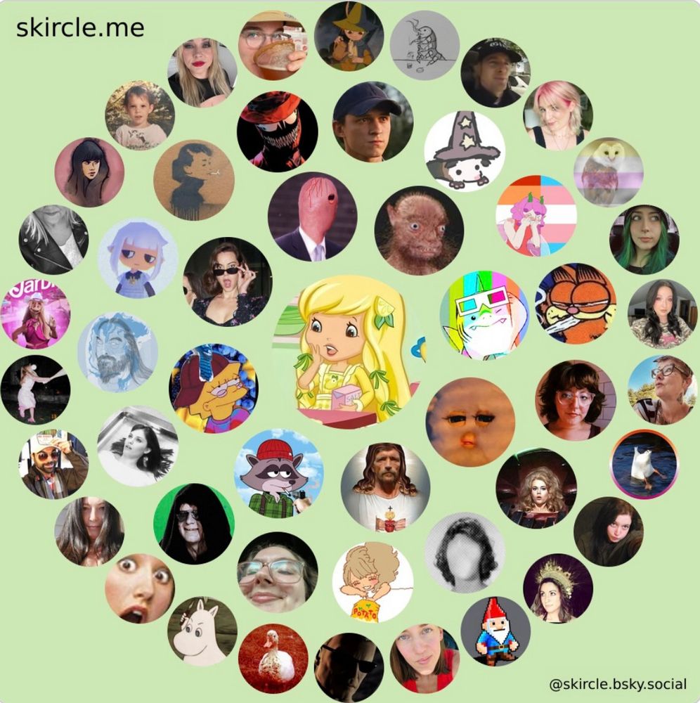 a picture of my skircle 