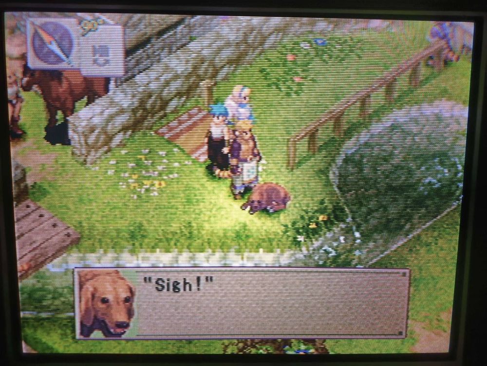 Game: Breath of Fire 4
Developer: Capcom
Platform: Playstation
📺: Sanyo DS24425