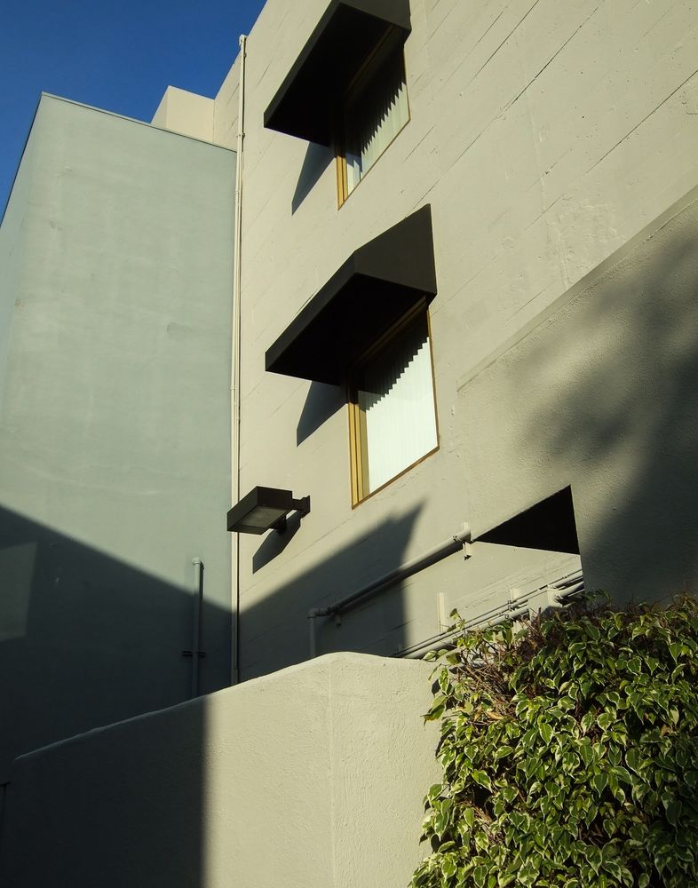 Photo of building in the plaza. Two windows have small black shades hovering over them. They’re gold framed. The bush from the self-portrait sits on the bottom-right corner and a building casts a nice shadow onto the bottom-left. Theres a small preficture for this back area that sits below the windows that are vertically from it