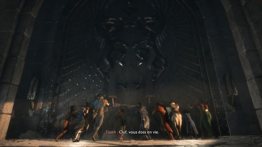 Capture montrant tous les personnages de Dragon Age en train de maintenir une porte fermée