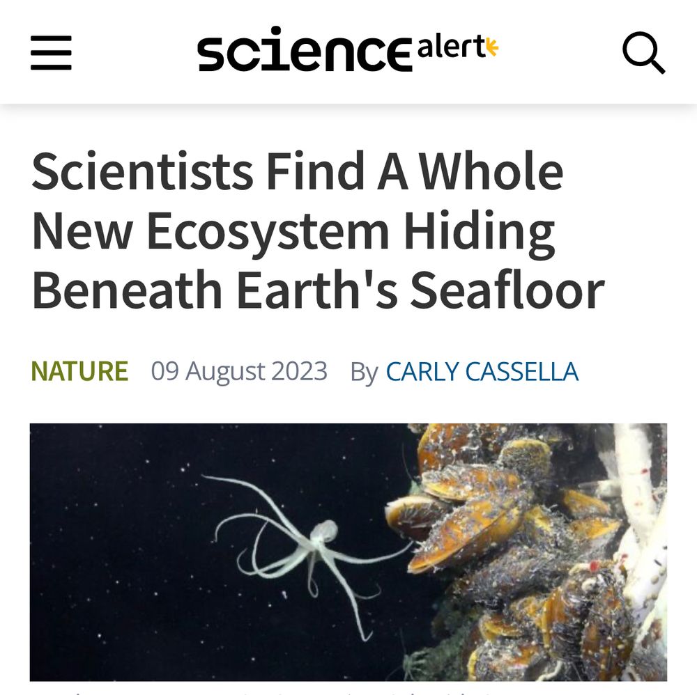 Headline that reads “Scientists Find A Whole New Ecosystem Hiding Beneath Earth's Seafloor”