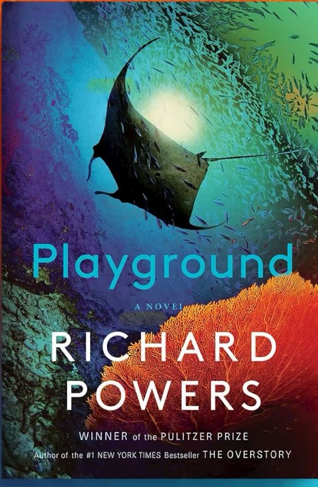 Playground by Richard Powers cover art