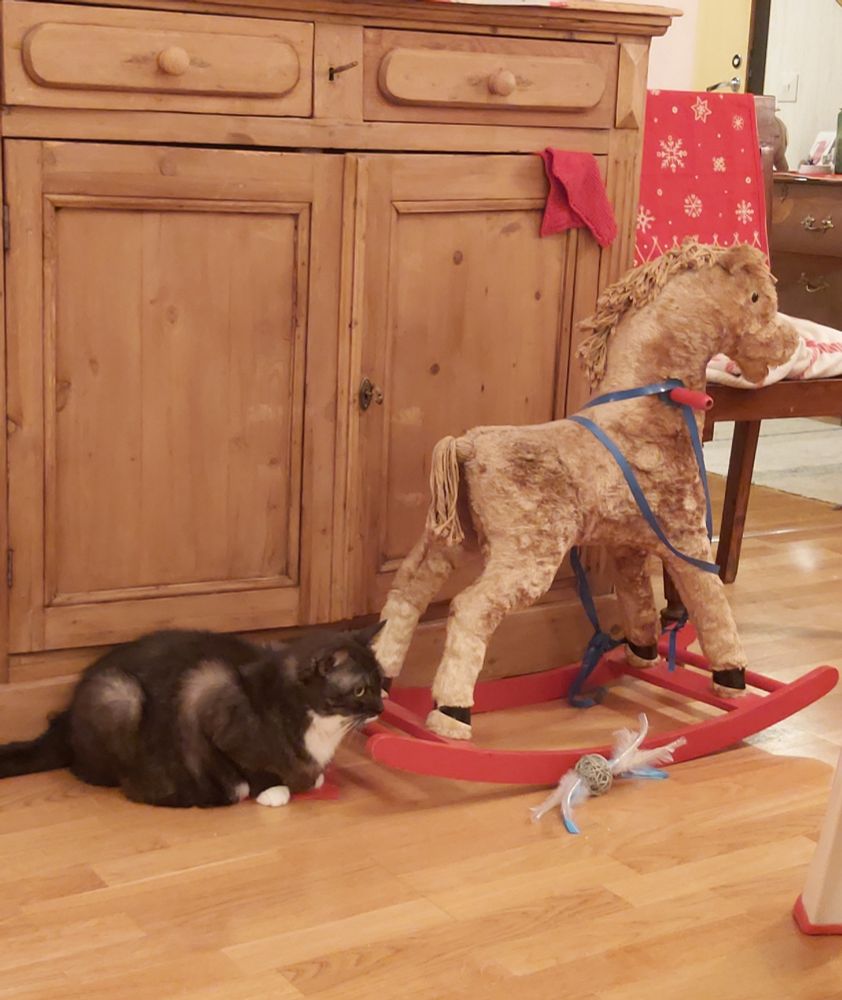 Kissa lattialla, vieressä vanhahko keinuhevonen.