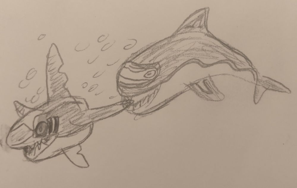 A Radiorca pursuing a frightened Sharpedo. 