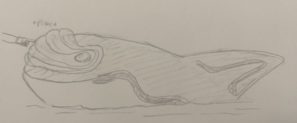 A trainer poking their Radiorca's ceremelon. Radiorca typically only let those who it trusts touch this organ