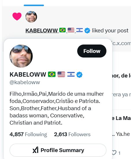 perfil de un "conservador, cristiano y patriota" que le ha dado like a un tuit mío