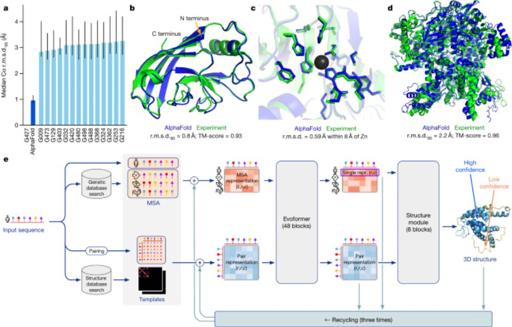 Highly accurate protein structure prediction with AlphaFold - Nature